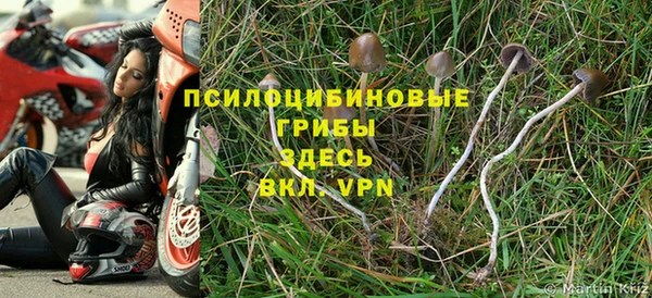 мескалин Лагань
