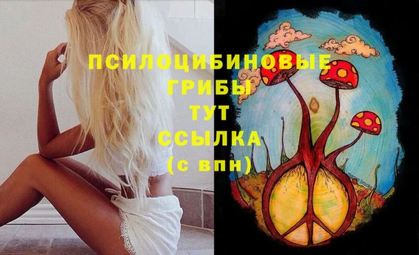 герыч Ладушкин