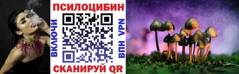 где продают   Новый Оскол  Псилоцибиновые грибы MAGIC MUSHROOMS 